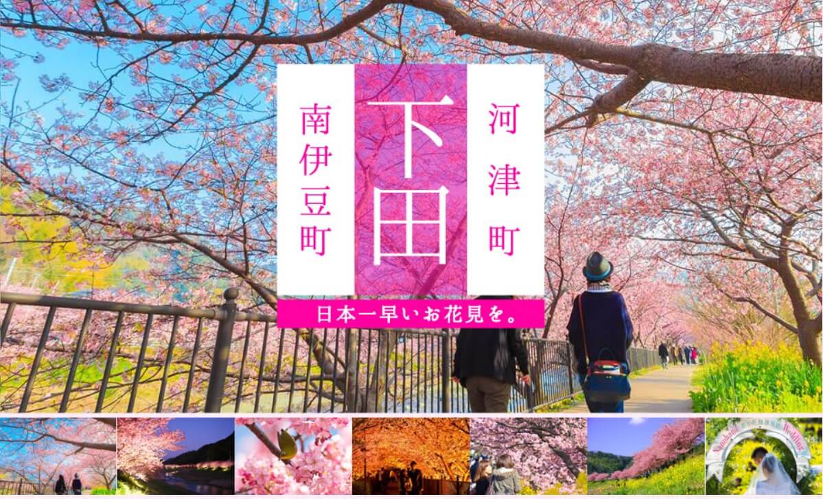 櫻花季來啦 日本關東賞櫻景點地圖大公開